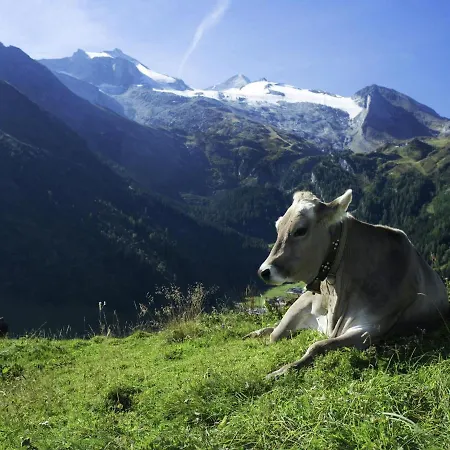 Ferienhaus Sunlit Farmhouse Near Hochzillertal Ski Area In Tyrol *